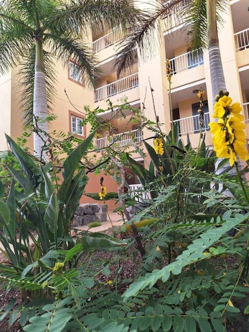 Tropical Apartment - Heated Pool Palm-mar Bagian luar foto